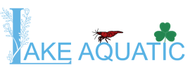 Lake Aquatic 