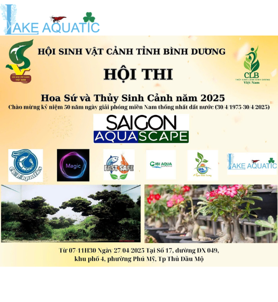 DỰ ÁN THAM GIA HỘI THI TẠI THỦ DẦU MỘT