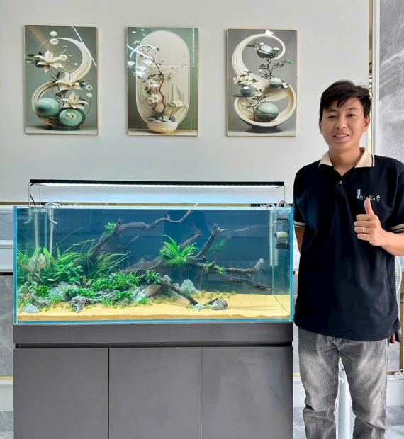 THI CÔNG HỒ THỦY SINH TẠI NHÀ