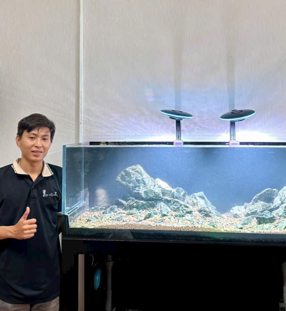 DỰ ÁN THI CÔNG HỒ THỦY SINH ( A NGỌC ) LAKE AQUATIC