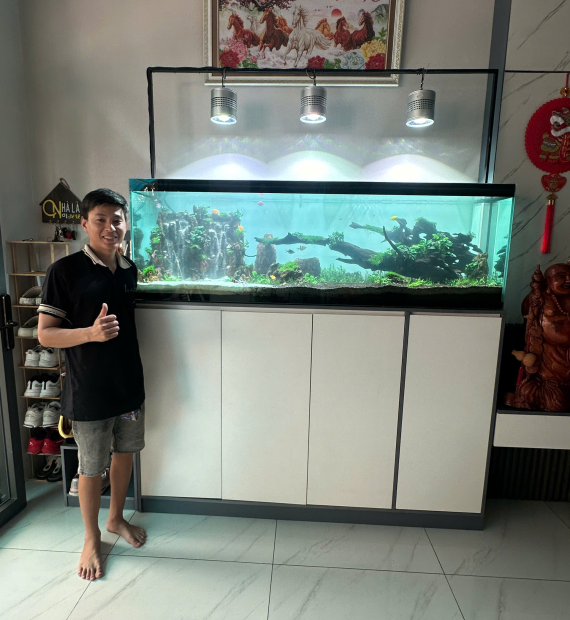 Dự án thi công cải tạo lại hồ thủy sinh kích thước 180x40x50cm tại phường an phú HCM